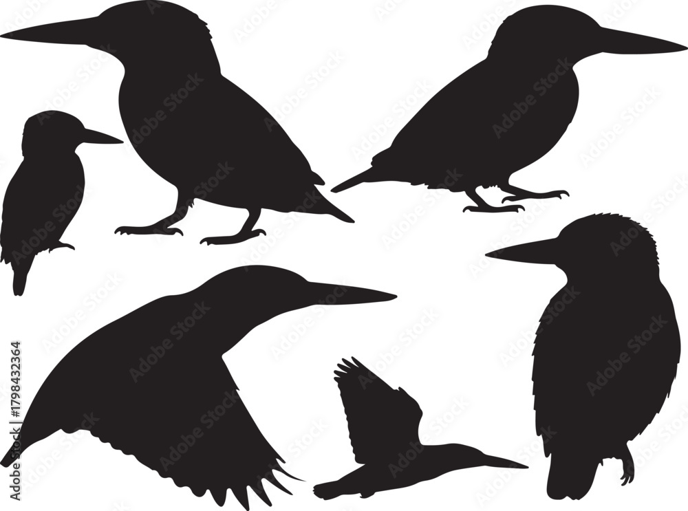 Fototapeta premium Solid black silhouette vector of Azure Kingfisher