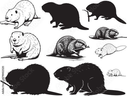 Solid black silhouette vector of Beaver