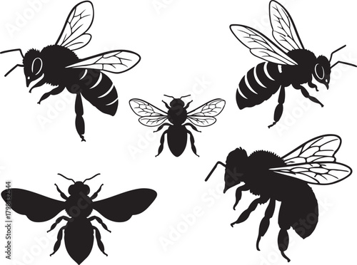 Solid black silhouette vector of Bee