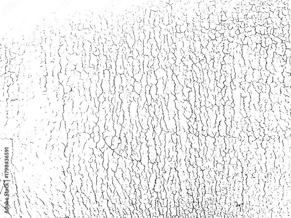 Obraz premium Grunge cracked texture vector overlay background
