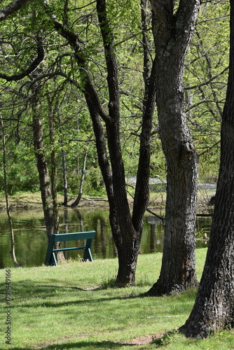Restful green bench in a forest under trees beside a pond in West Virginia
