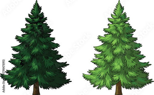 Evergreen tree vector illustration, conifer forest graphic, pine foliage flat design, nature icon set, seasonal plant silhouette, CAD drawing