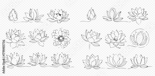 Collection of detailed line art illustrations depicting lotus flowers in various stages of bloom and artistic styles.