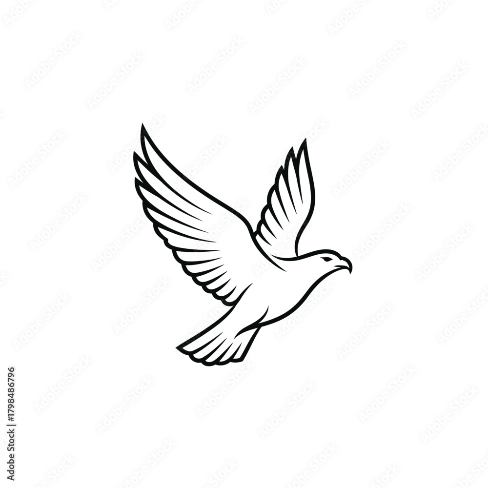 Obraz premium Adobe Illustrator Artwork