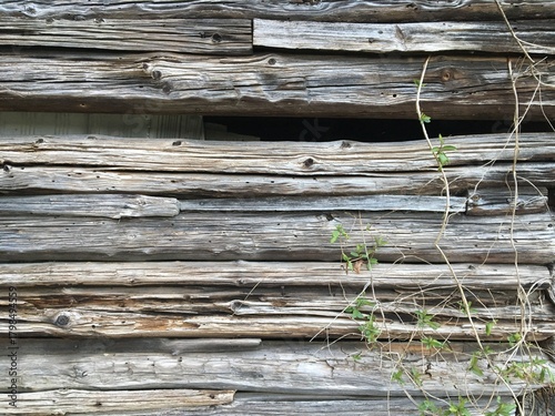 Old wood log barn for storing tobacco crop in Appalachian mountains of Madison County, NC