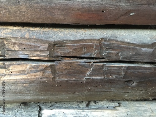 Close up of hand-hewn logs of the Edwards tobacco barn in the Appalachain mountains of Madison County, NC