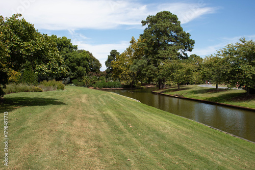a park and the bright sky