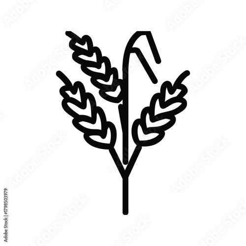 Wheat Stalk black Vector icon food white background design
