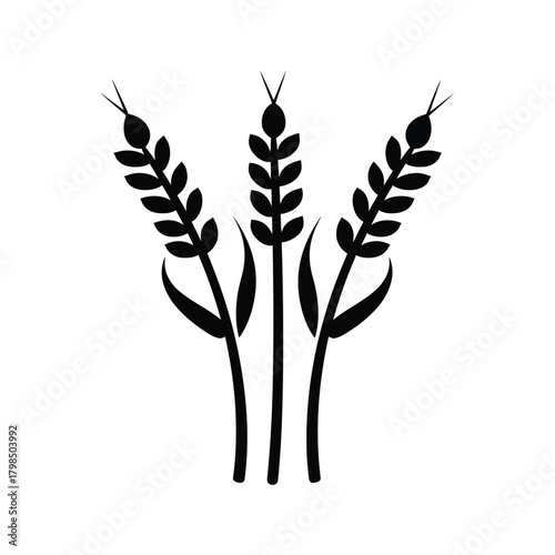 Wheat Stalk black Vector icon food white background design