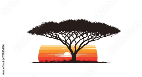 Silhouette of a majestic acacia tree against a vibrant African sunset landscape graphic