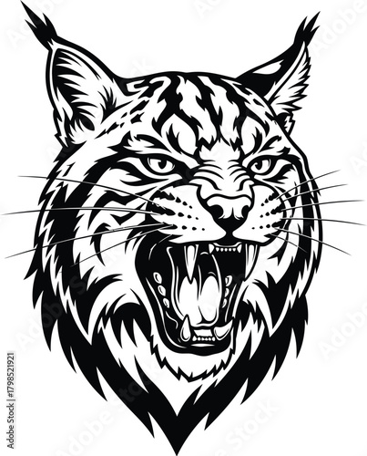 Fierce bobcat head roaring