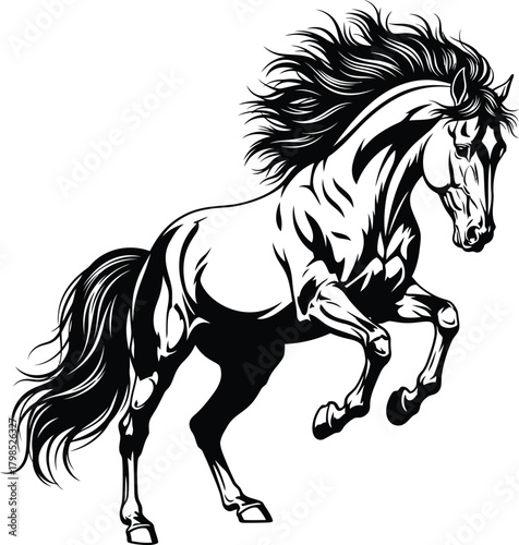 Rearing black horse silhouette