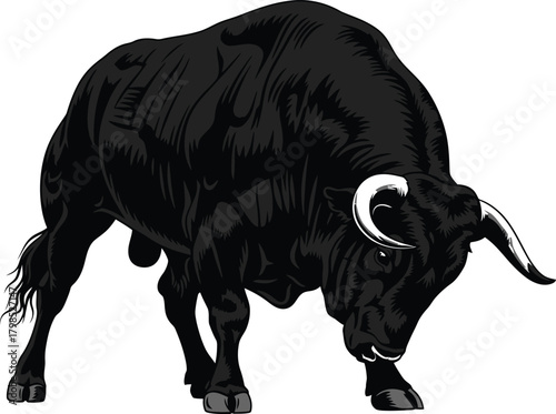 Black bull with horns