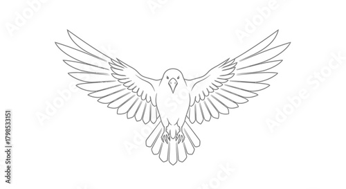 Elegant bird outline illustration showcasing freedom and graceful flight design vector
