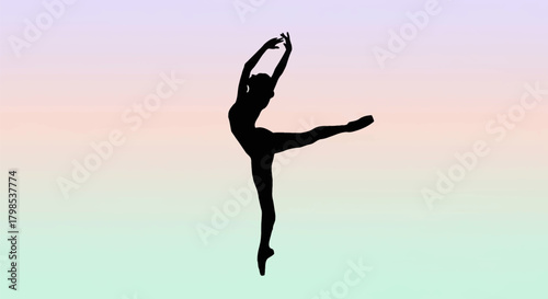 Adobe Illustrator Artwork