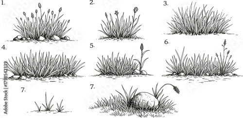 Cheerful and colorful collection of cartoon illustrations, perfect for children's designs, featuring playful toys, adorable animals, and whimsical nature elements