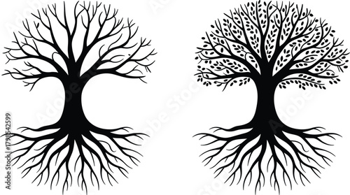 Vector Tree of Life Silhouette Set, Roots, Branches, Leaves, Symbol of Growth, Family, and Eternity Graphic