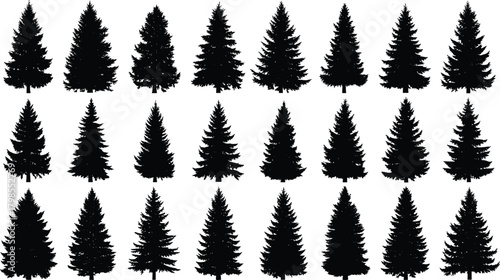 Pine tree silhouettes, forest grid, conifer shapes, black white trees, nature design, botanical reference, tree forms, foliage texture, artistic trees, silhouette collection
