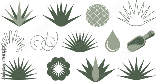 Assorted Graphics Agave Plants, Spirals, Scoop, Flower, Drop, Illustrative Elements on White