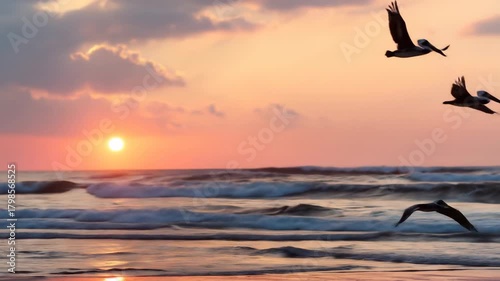 Birds flying at sunset over ocean water scenery and beautiful sky