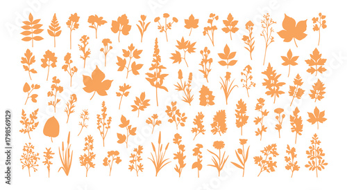 An extensive collection of botanical silhouettes that highlight floral elements. It consists of branches, leaves, herbs, flowers, and wild plants.