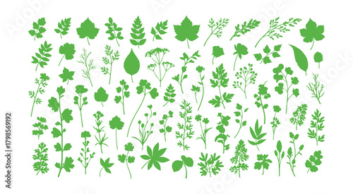 A comprehensive set of botanical silhouettes with floral elements. It features branches, leaves, herbs, flowers, and wild plants. 