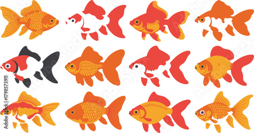 Colorful Goldfish Variety Illustration Oranda, Fantail, Ryukin, and More Elements on White