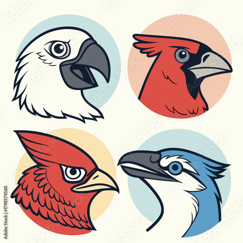 Bird's Eye View: Collection of bird portraits featuring diverse species, showcasing the beauty and variety found in the avian world.