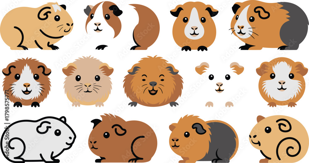 Fototapeta premium Cartoon Guinea Pigs Cute Colorful Rodents Illustration, Isolated Adorable Pets on White