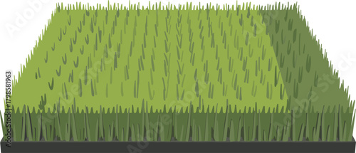 Isometric Vector Patch of Green Grass Turf, Lawn Plot, Farm Land, Agricultural Crop Field, and Nature Graphic