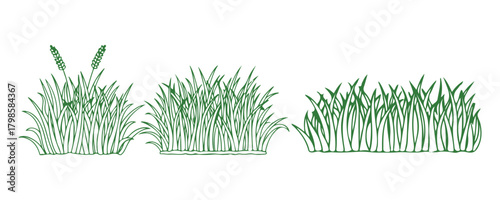 Linear icon of grass, doodle outline of a meadow and flowers, a tuft of bushes, a small lawn, and a green sketch of a plant set against a white background. A hand-drawn border of a thicket and park.