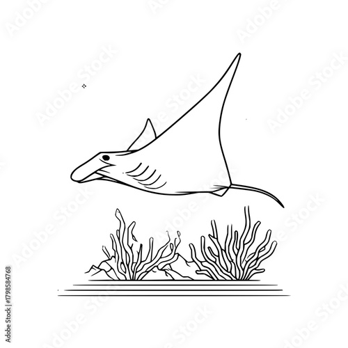 Illustration of a manta ray swimming above coral reefs in a black and white line drawing style art