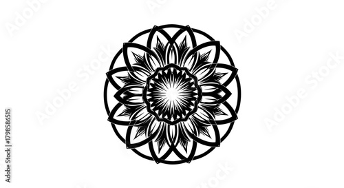 Elegant black and white mandala design radiating intricate symmetry and balance of elements
