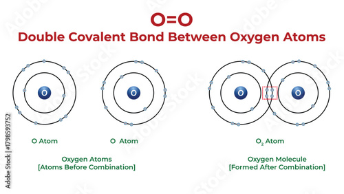 Chemical Structure Showing Double Covalent Bond in Oxygen Molecule