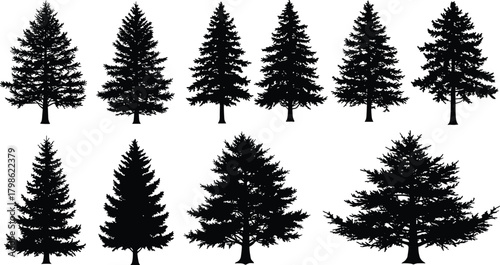 Detailed pine tree silhouette collection, black evergreen forest vector set, natural conifer illustration for winter, Christmas, and outdoor landscape design decoration
