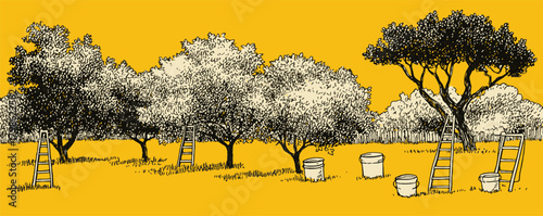 A yellow background with trees and ladders. The trees are in a field and the ladders are scattered around them