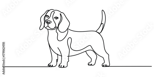 Continuous line art of a standing beagle dog, minimalist design.