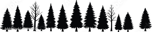 Forest trees silhouettes, pine and spruce illustration, nature landscape vector, evergreen forest background, outdoor wilderness design, natural woodland scenery, environment and nature concept
