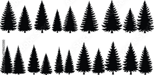 Pine tree silhouette collection, black evergreen conifer forest vector set, spruce and fir tree shapes for nature design, outdoor landscape, and decoration