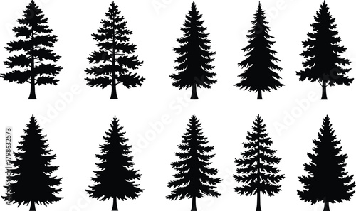 Pine trees silhouettes collection, forest evergreen illustration, nature and woodland vector, outdoor landscape design, natural environment concept, tree shapes set, black silhouette artwork
