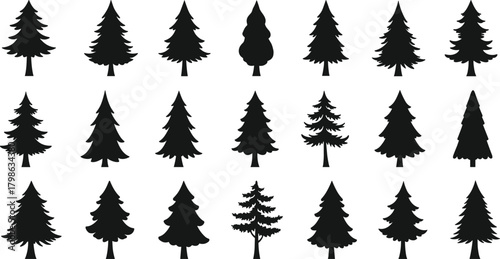 Silhouette collection of different pine trees, spruce trees, and fir tree shapes, perfect for forest, nature, Christmas, and winter vector design.