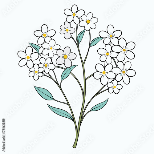 forget me not wood on white background