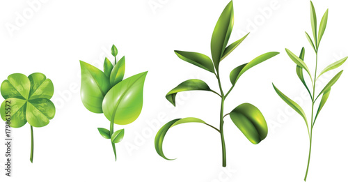 A collection of four distinct green plant sprigs, including a lucky four-leaf clover, isolated on a white background.
