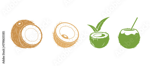 coconut vector icon illustration design template
