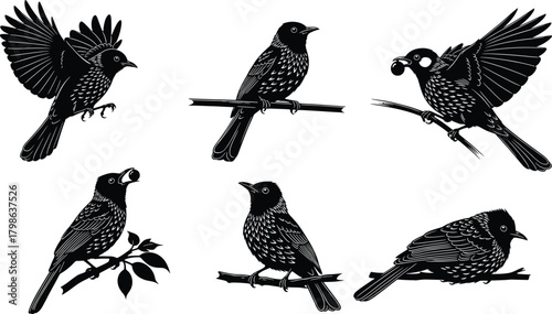 Elegant black songbird silhouettes perched and flying on branches, detailed nature vector illustration set, perfect for wildlife designs, decorative artwork, branding, and creative projects