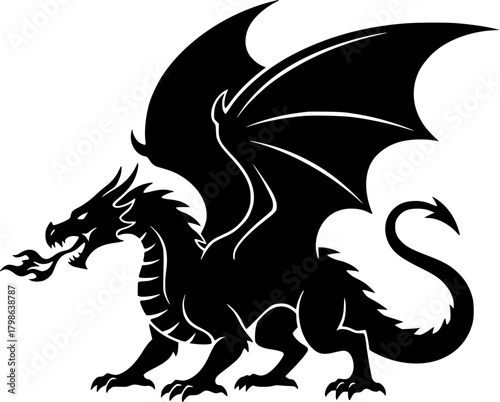 vector illustration of a dragon