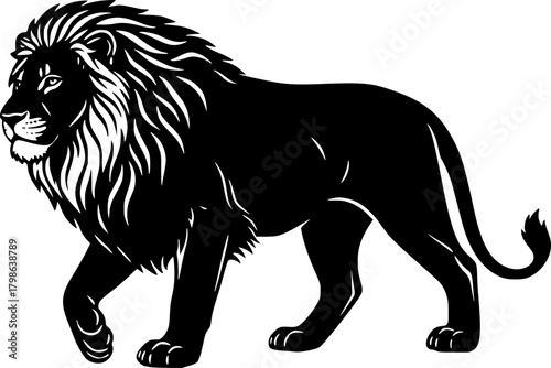 lion vector illustration