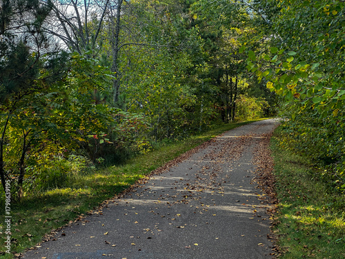 Scene of leaves on the pavement of the Paul Bunyan Trail in Nisswa, Minnesota