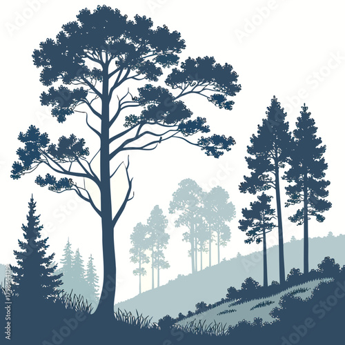 Silhouette of a serene forest landscape featuring various trees, including pine and coniferous species, creating a peaceful and natural scene isolated on