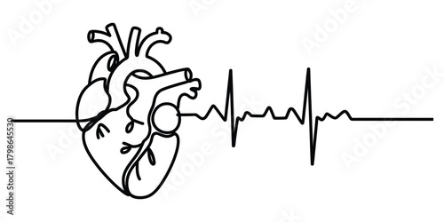 Human heart and ecg line art, continuous trace of life concept